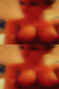 A sexy sluts CD or a Trans.